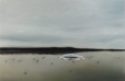flying blur