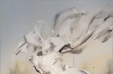 flying blur II