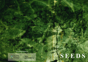 Seeds